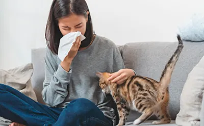 Katzenallergie: alles, was Sie wissen müssen