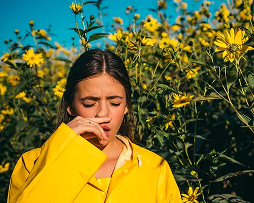 Pollenallergie: Alles, was Sie wissen müssen