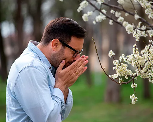 Über Heuschnupfen: Alles, was Sie wissen müssen