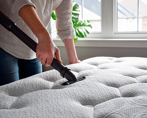 Hausstaubmilbenallergie: alles, was Sie wissen müssen