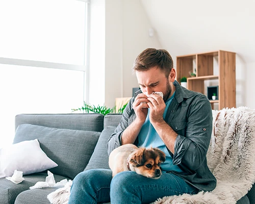 Hundeallergie: alles, was Sie wissen müssen