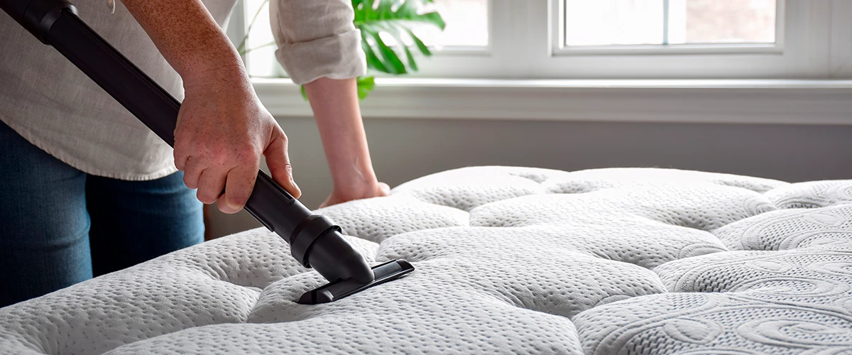 Hausstaubmilbenallergie: alles, was Sie wissen müssen