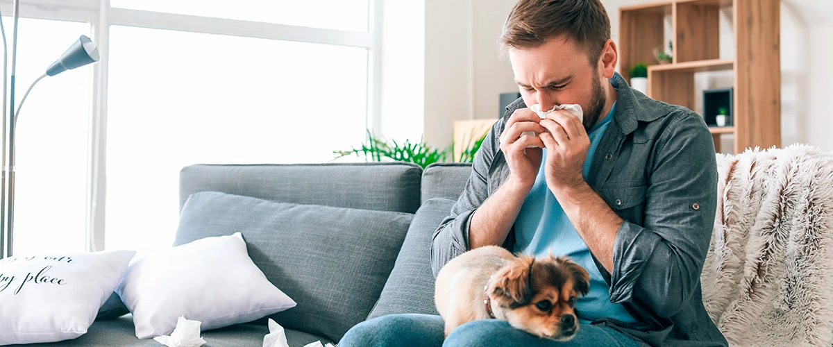 Hundeallergie: alles, was Sie wissen müssen