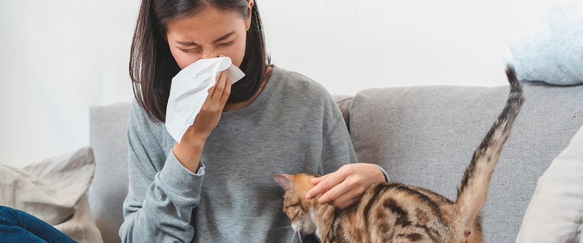 Katzenallergie: alles, was Sie wissen müssen