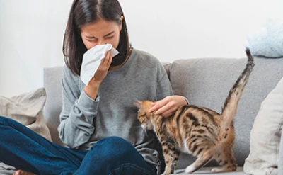 Katzenallergie: alles, was Sie wissen müssen